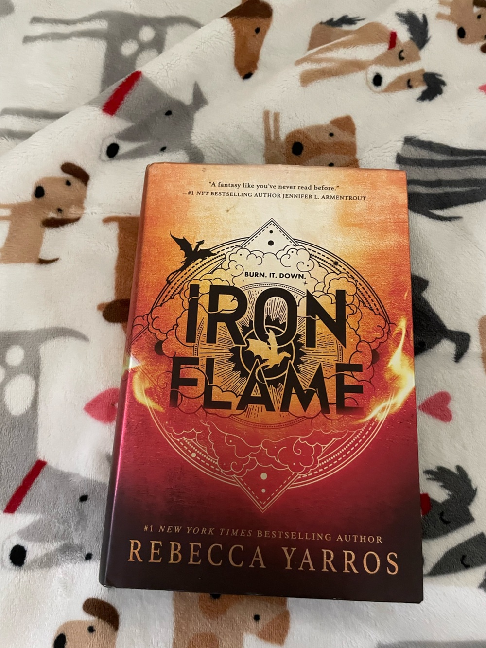 Iron Flame Fourth Wing Book